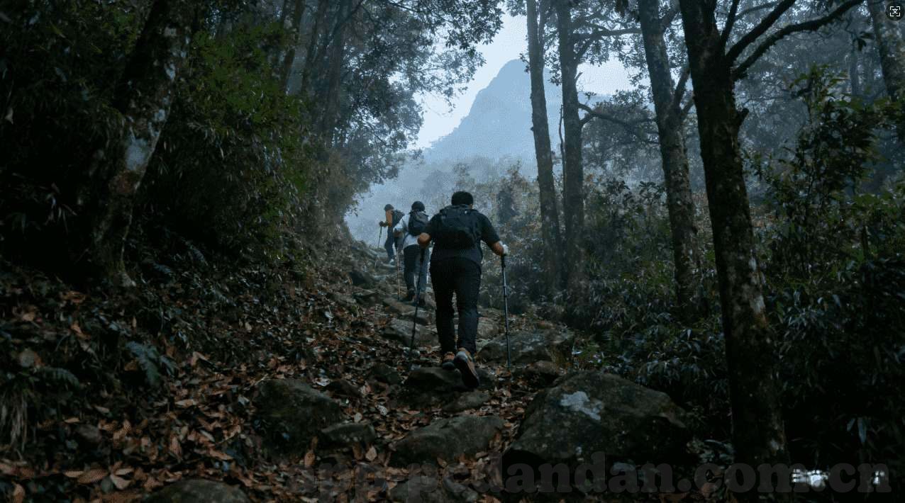 德州扑克补牌概率-德州扑克补牌概率，策略与直觉的交汇点